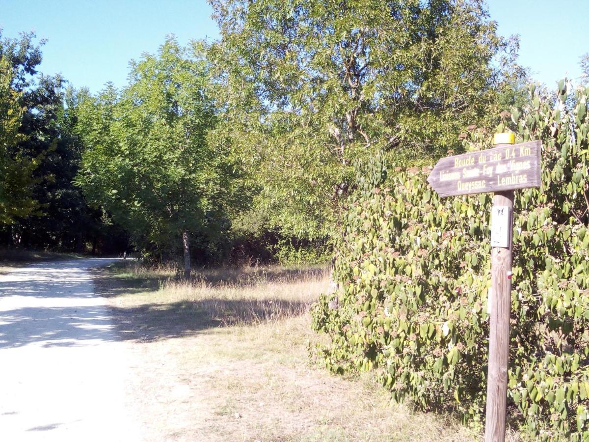 T2 36 M2 Pres Du Lac, Parc 55 Hectares Accessible A Pied ! Bergerac Exteriör bild